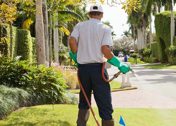 About Midvale OH Pest Control